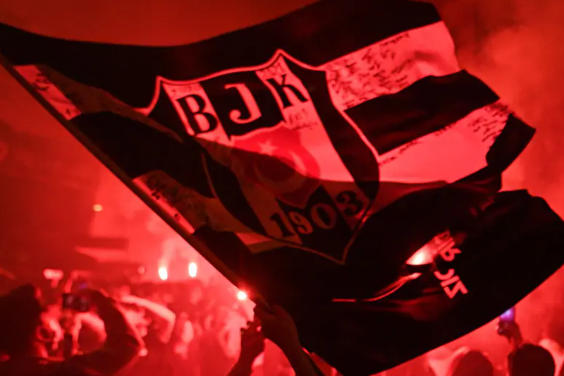 Faaliyet Alanlarımız